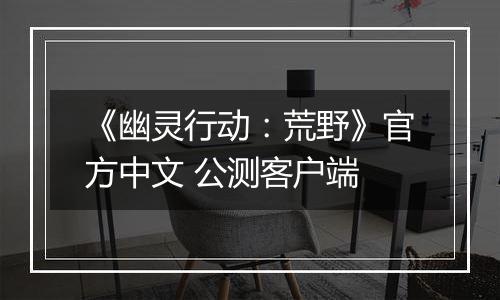 《幽灵行动：荒野》官方中文 公测客户端