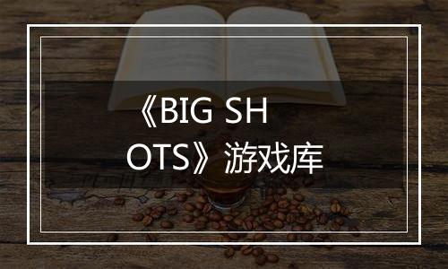 《BIG SHOTS》游戏库