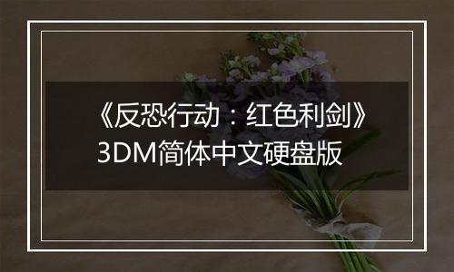 《反恐行动：红色利剑》 3DM简体中文硬盘版