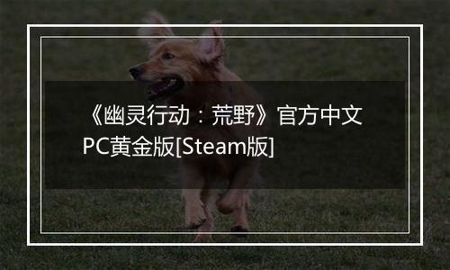 《幽灵行动：荒野》官方中文 PC黄金版[Steam版]