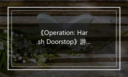 《Operation: Harsh Doorstop》游戏库