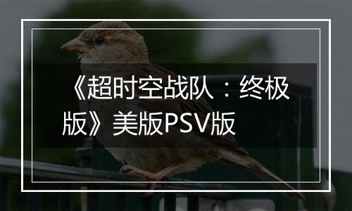 《超时空战队:终极版》美版PSV版