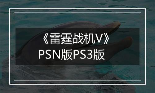 《雷霆战机V》 PSN版PS3版