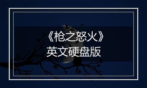 《枪之怒火》 英文硬盘版