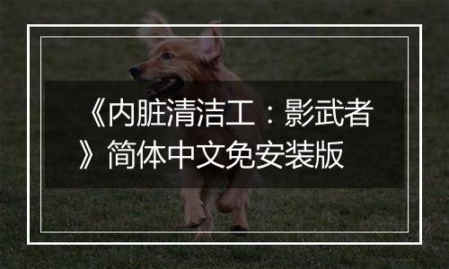 《内脏清洁工：影武者》简体中文免安装版
