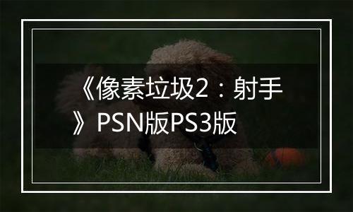 《像素垃圾2：射手》PSN版PS3版