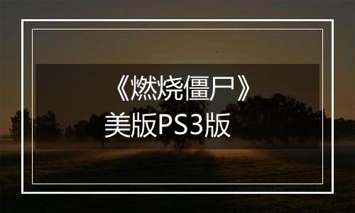 《燃烧僵尸》美版PS3版