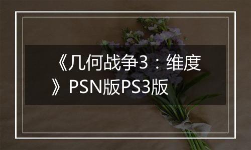 《几何战争3:维度》PSN版PS3版