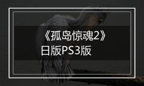 《孤岛惊魂2》日版PS3版