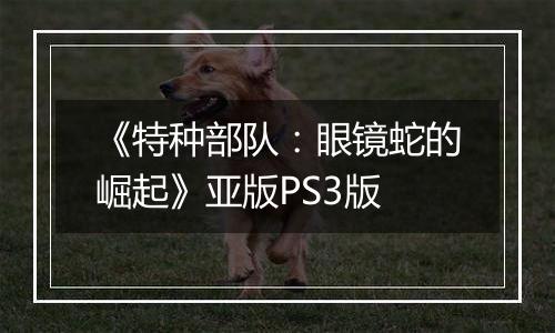 《特种部队：眼镜蛇的崛起》亚版PS3版