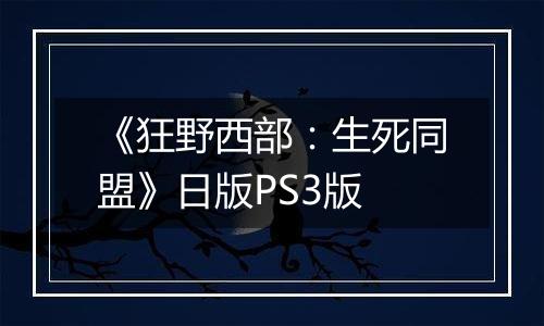 《狂野西部：生死同盟》日版PS3版