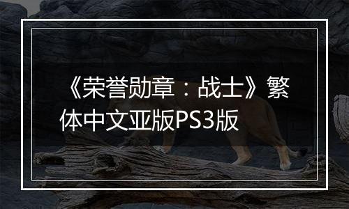 《荣誉勋章：战士》繁体中文亚版PS3版