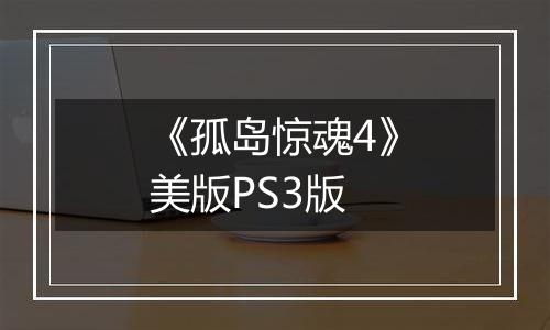 《孤岛惊魂4》美版PS3版