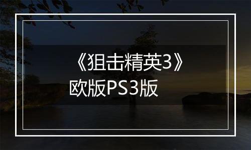 《狙击精英3》欧版PS3版