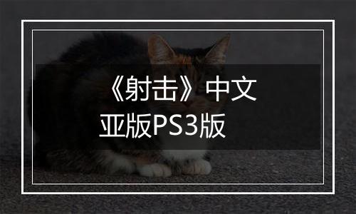 《射击》中文亚版PS3版