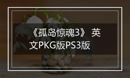 《孤岛惊魂3》 英文PKG版PS3版