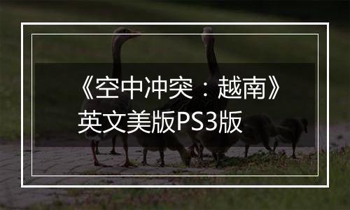 《空中冲突:越南》 英文美版PS3版