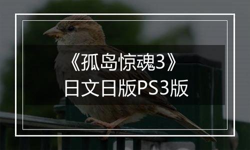 《孤岛惊魂3》 日文日版PS3版