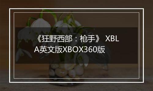 《狂野西部:枪手》 XBLA英文版XBOX360版