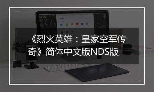 《烈火英雄：皇家空军传奇》简体中文版NDS版