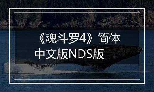 《魂斗罗4》简体中文版NDS版