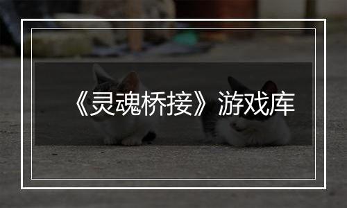 《灵魂桥接》游戏库
