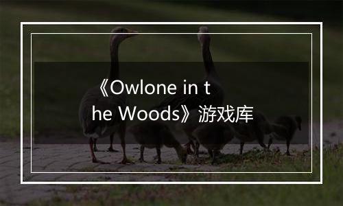 《Owlone in the Woods》游戏库
