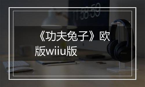 《功夫兔子》欧版wiiu版