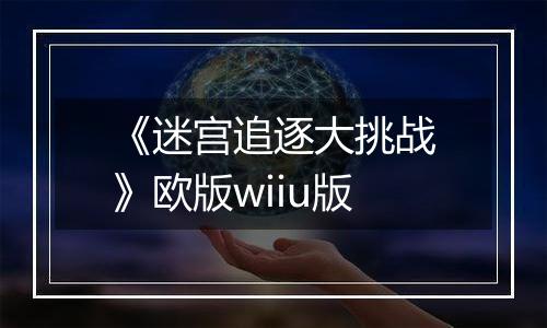 《迷宫追逐大挑战》欧版wiiu版