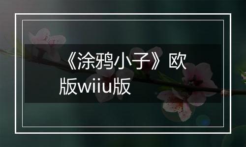 《涂鸦小子》欧版wiiu版