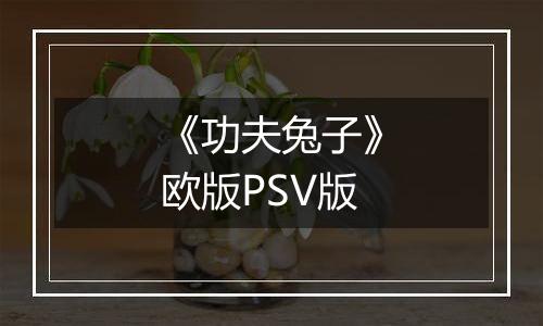 《功夫兔子》欧版PSV版