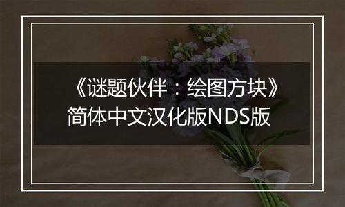 《谜题伙伴：绘图方块》简体中文汉化版NDS版