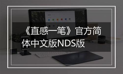 《直感一笔》官方简体中文版NDS版