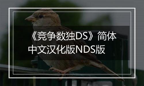 《竞争数独DS》简体中文汉化版NDS版