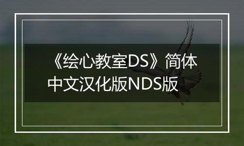 《绘心教室DS》简体中文汉化版NDS版