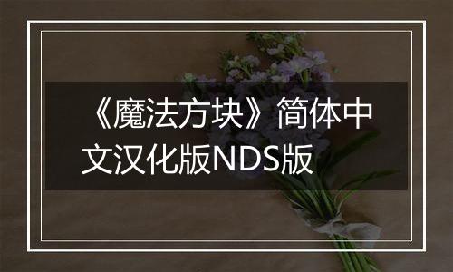 《魔法方块》简体中文汉化版NDS版