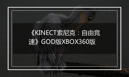 《KINECT索尼克：自由竞速》GOD版XBOX360版