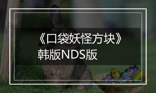 《口袋妖怪方块》 韩版NDS版