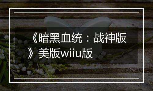 《暗黑血统：战神版》美版wiiu版