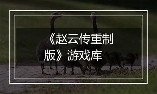 《赵云传重制版》游戏库