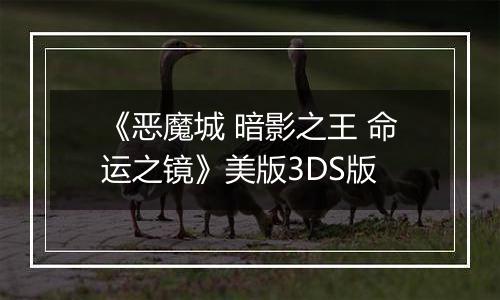 《恶魔城 暗影之王 命运之镜》美版3DS版
