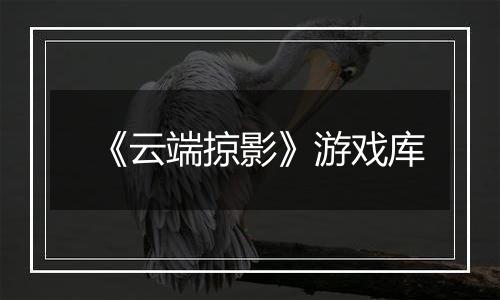 《云端掠影》游戏库
