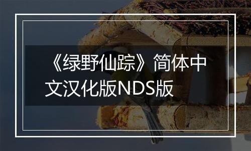 《绿野仙踪》简体中文汉化版NDS版