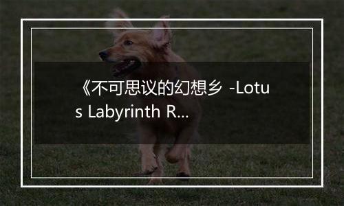 《不可思议的幻想乡 -Lotus Labyrinth R-》游戏库