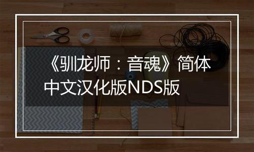 《驯龙师：音魂》简体中文汉化版NDS版