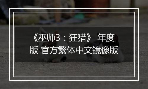 《巫师3：狂猎》 年度版 官方繁体中文镜像版
