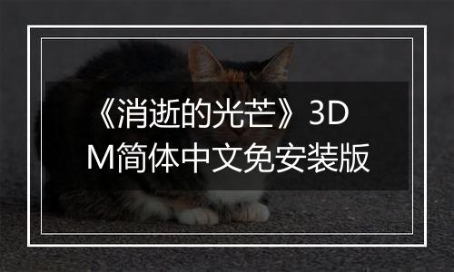 《消逝的光芒》3DM简体中文免安装版