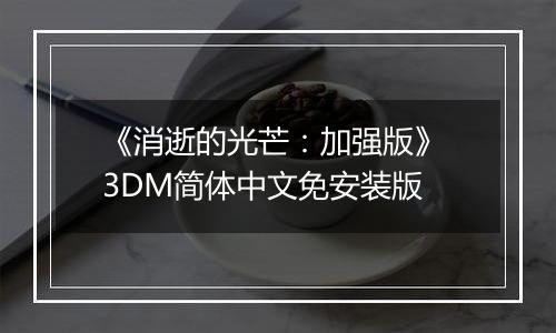 《消逝的光芒：加强版》 3DM简体中文免安装版