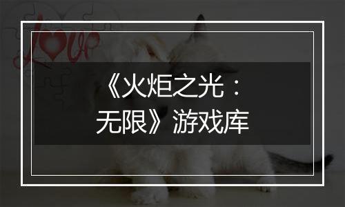 《火炬之光：无限》游戏库