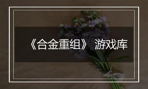 《合金重组》 游戏库